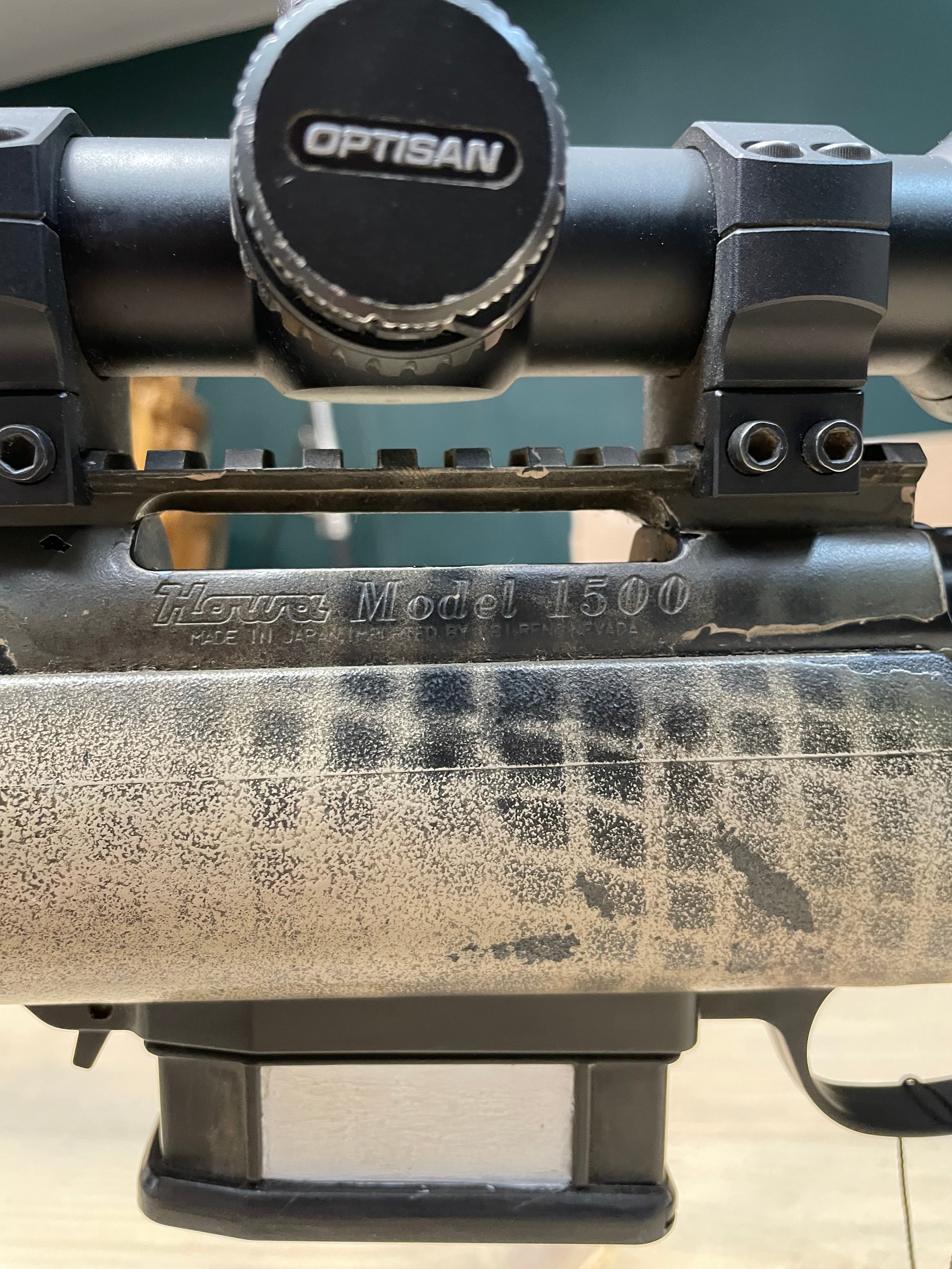 Howa 1500 .308