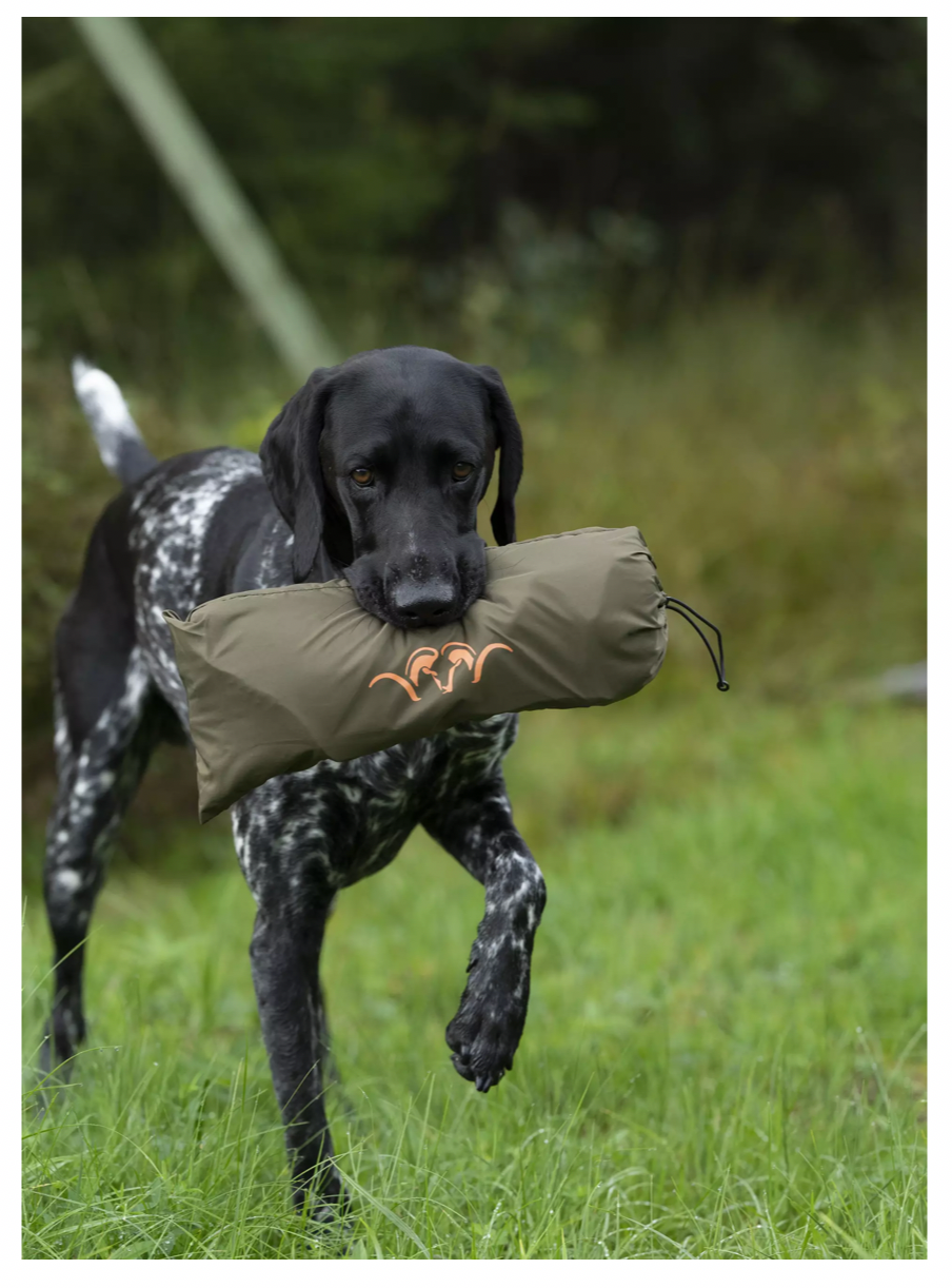 Blaser Dog Blanket - dark olive