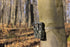 HIKMICRO M15 4G Trail Camera