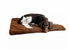 Blaser Dog Bed/Blanket with Fleece