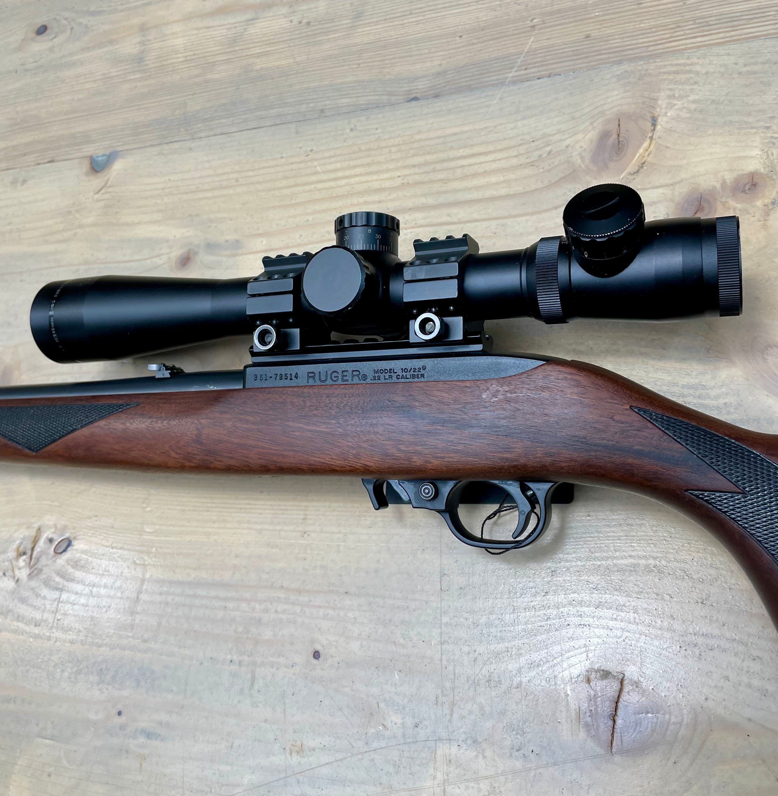 Ruger 10/22