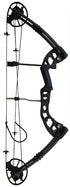 Compound bow Greyback